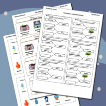 Синонимы (набор, карточки-пятиминутки, вклейки, карточки-гармошки с ответами)