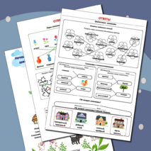 Синонимы (набор, карточки-пятиминутки, вклейки, карточки-гармошки с ответами)