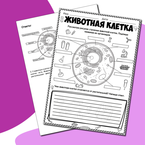 Животная клетка
