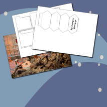 Лэпбук «Блокада Ленинграда»