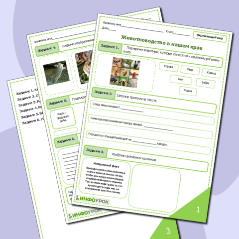 Рабочий лист по окружающему миру по теме "Животноводство в нашем крае".