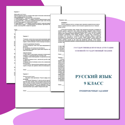 Тренировочные задания для подготовки к ОГЭ по русскому языку. 9 класс