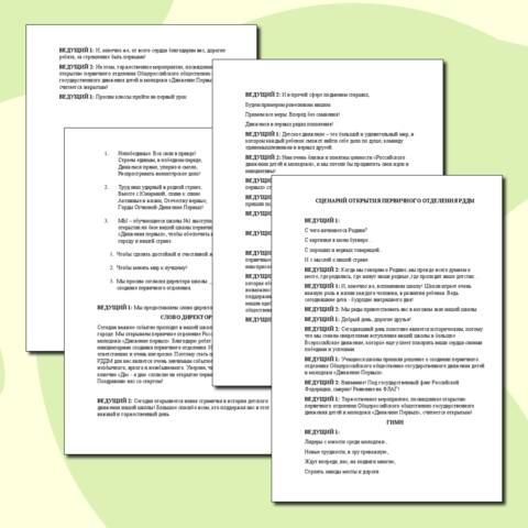 Сценарий открытия первичного отделения РДДМ