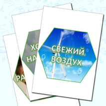 Гексы (соты) для оформления доски «Здоровый образ жизни/ ЗОЖ»