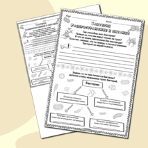 Бактерии - распространение и питание