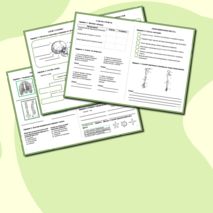 Рабочая тетрадь по биологии «Опорно-двигательная система. Скелет»