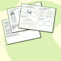 Рабочая тетрадь по биологии «Опорно-двигательная система. Скелет»