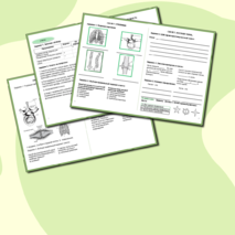 Рабочая тетрадь по биологии «Опорно-двигательная система. Скелет»