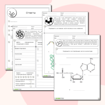 Нуклеиновые кислоты (ДНК и РНК)