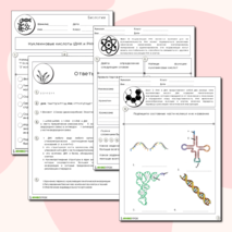 Нуклеиновые кислоты (ДНК и РНК)