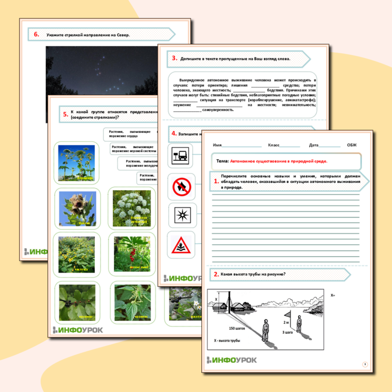 Рабочий лист- ОБЖ- Автономное существование в природной среде.