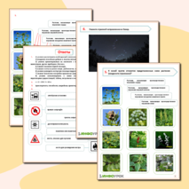 Рабочий лист- ОБЖ- Автономное существование в природной среде.