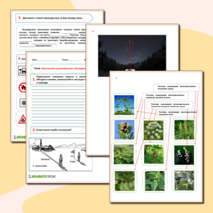 Рабочий лист- ОБЖ- Автономное существование в природной среде.