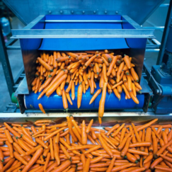 Обложка курса 'Технология обработки пищевых продуктов и тары: особенности производственного процесса'