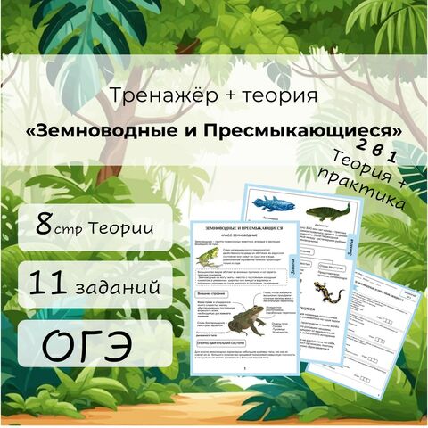 Тренажёр + теория 