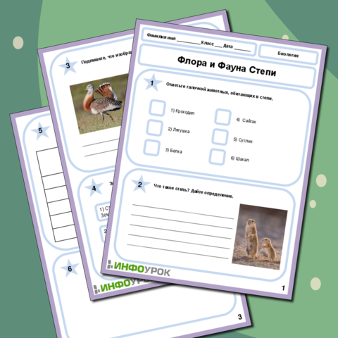 Интерактивная игра по окружающему миру на тему "Флора и фауна леса" (1 ...