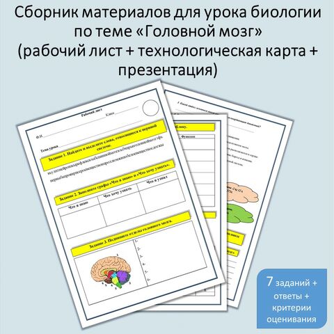 Сборник материалов по теме 