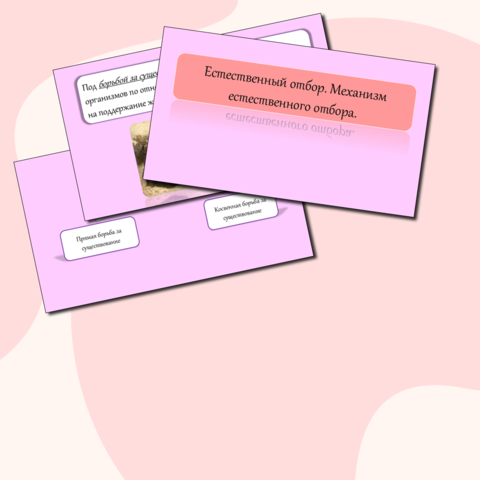 Презентация 