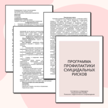 Программа профилактики суицидальных рисков школьной службы психолого-педагогического сопровождения