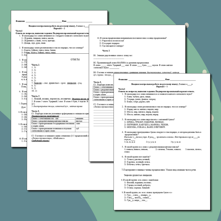 Входная контрольная работа по русскому языку, 2 класс, "Школа России"