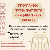 Программа профилактики суицидальных рисков школьной службы психолого-педагогического сопровождения