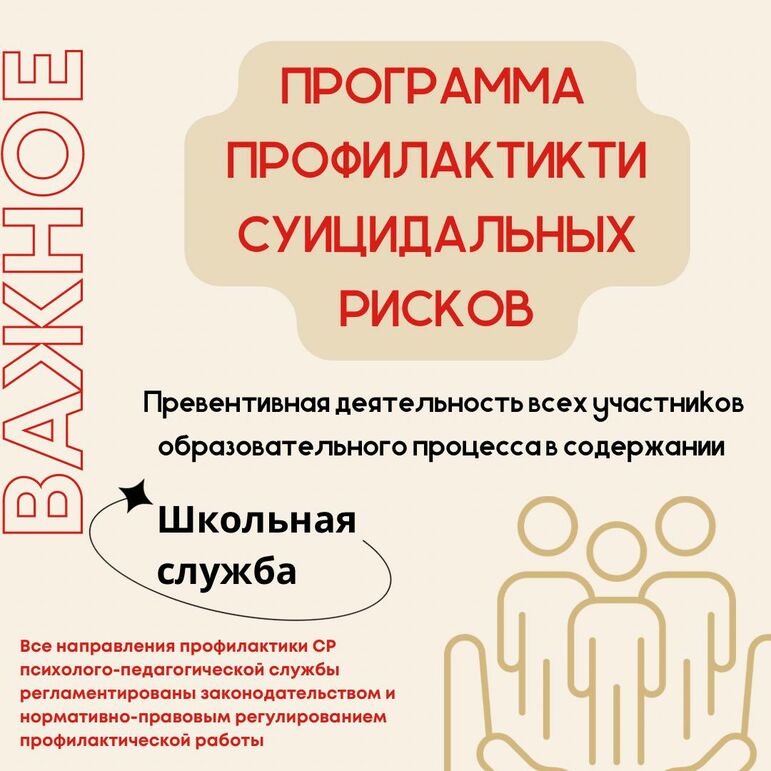 Программа профилактики суицидальных рисков школьной службы психолого-педагогического сопровождения