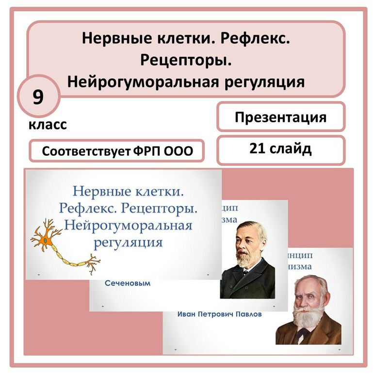 Презентация 
