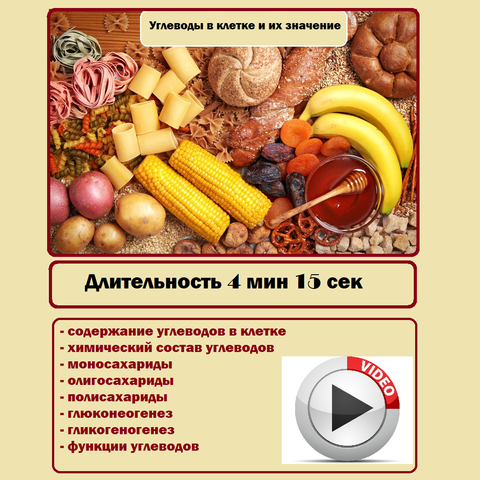 Видеоурок «Органические вещества клетки - Углеводы». Биология 10 класс