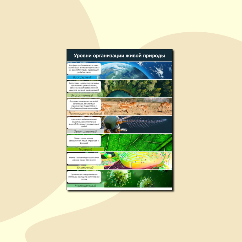 Интерактивный плакат по биологии «Уровни организации живого»