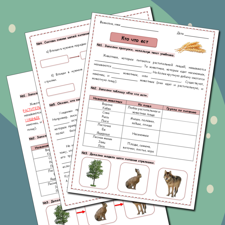 Рабочий лист по теме 