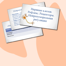 Презентация 