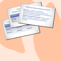 Презентация 