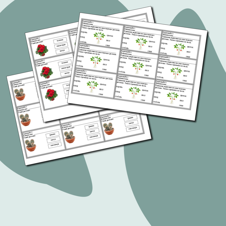 Карточки по окружающему миру для первоклассников. Уроки 7-12