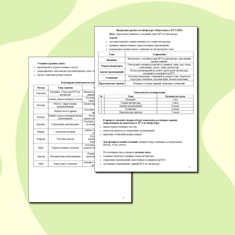 Программа кружка по подготовке к ЕГЭ-2025 по литературе