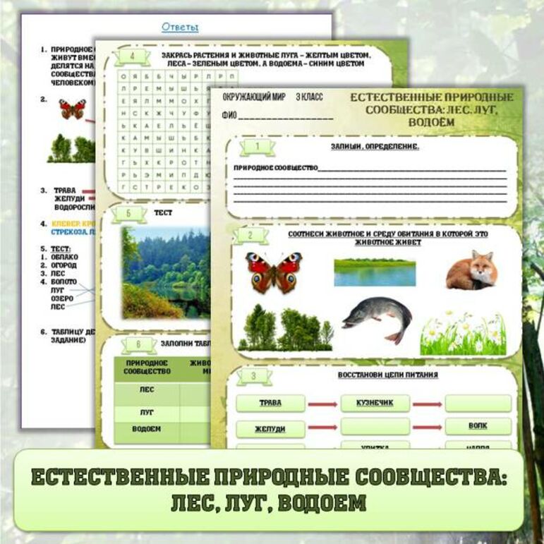 Природные сообщества 5 класс рабочий лист. Природные сообщества 5 класс рабочий лист