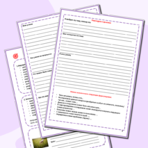 Рабочая тетрадь по проектной деятельности