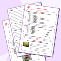 Рабочая тетрадь по проектной деятельности