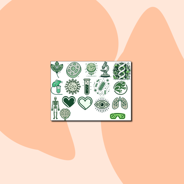 Комплект изображений для презентаций и разработки методических материалов по биологии