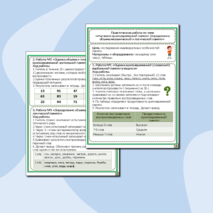 Практическая работа по теме «Изучение кратковременной памяти. Определение объема механической и логической памяти»