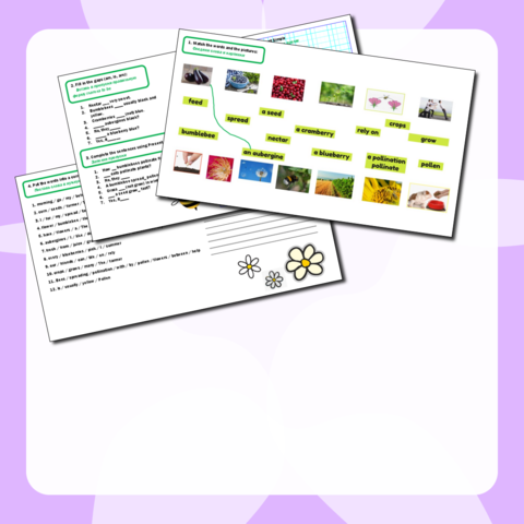 Рабочая тетрадь по английскому на тему 