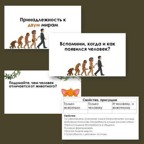 Презентация: 