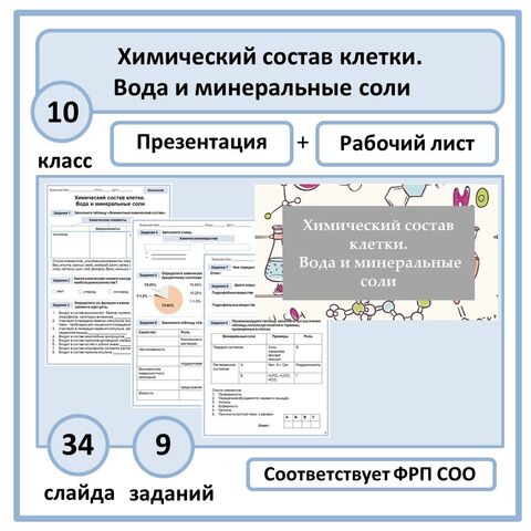 Презентация + рабочий лист по биологии 