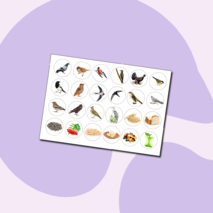 Дидактическая игра 