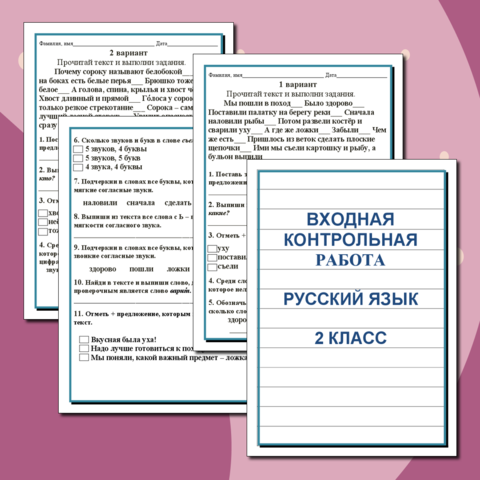 Входная контрольная работа по русскому языку (2 класс)