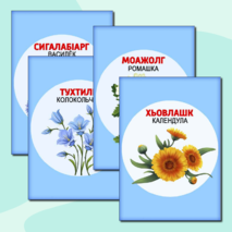 Карточки для изучения цветов на ингушском языке