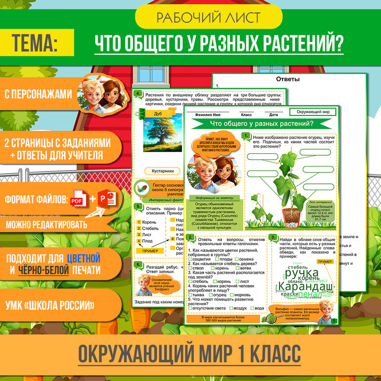 Рабочий лист «Что общего у разных растений?» 1 класс Окружающий мир ...