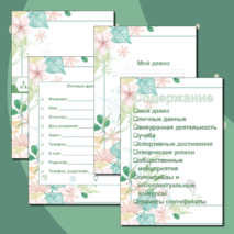 Портфолио ученика.