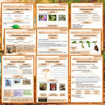 Комплект рабочих листов Окружающий мир 3 класс Раздел 