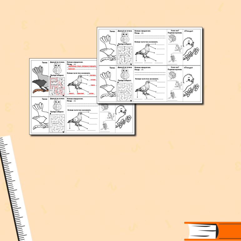 Карточка-гармошка по окружающему миру 