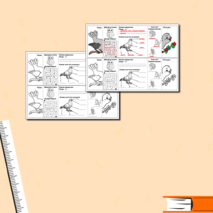 Карточка-гармошка по окружающему миру 